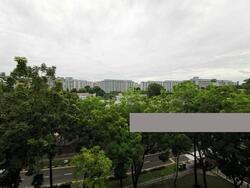 Blk 534 Bedok North Street 3 (Bedok), HDB 3 Rooms #233848201